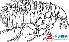 【灭蚂蚁公司】东方汉诺&mdash;北京快讯