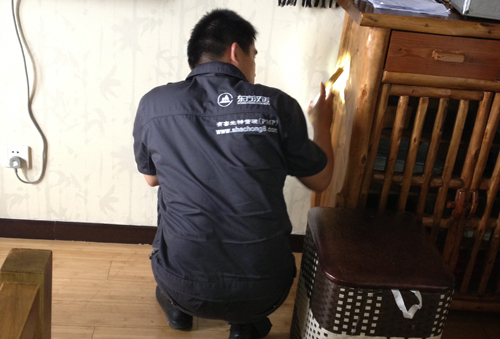 【北京灭蟑螂公司】东方汉诺&mdash;北京快讯